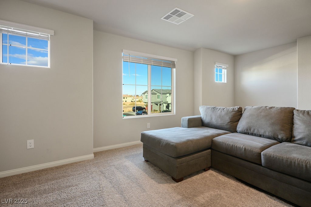 9871 Magnus Court Property Photo 16
