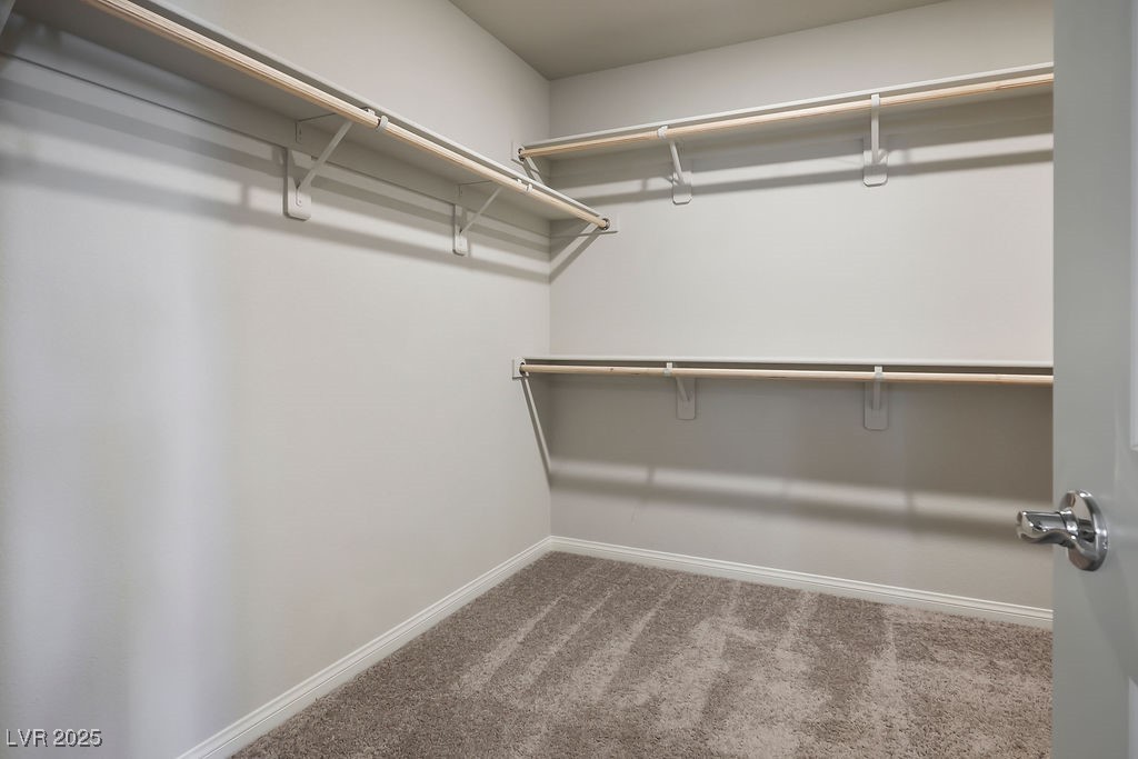 9871 Magnus Court Property Photo 21
