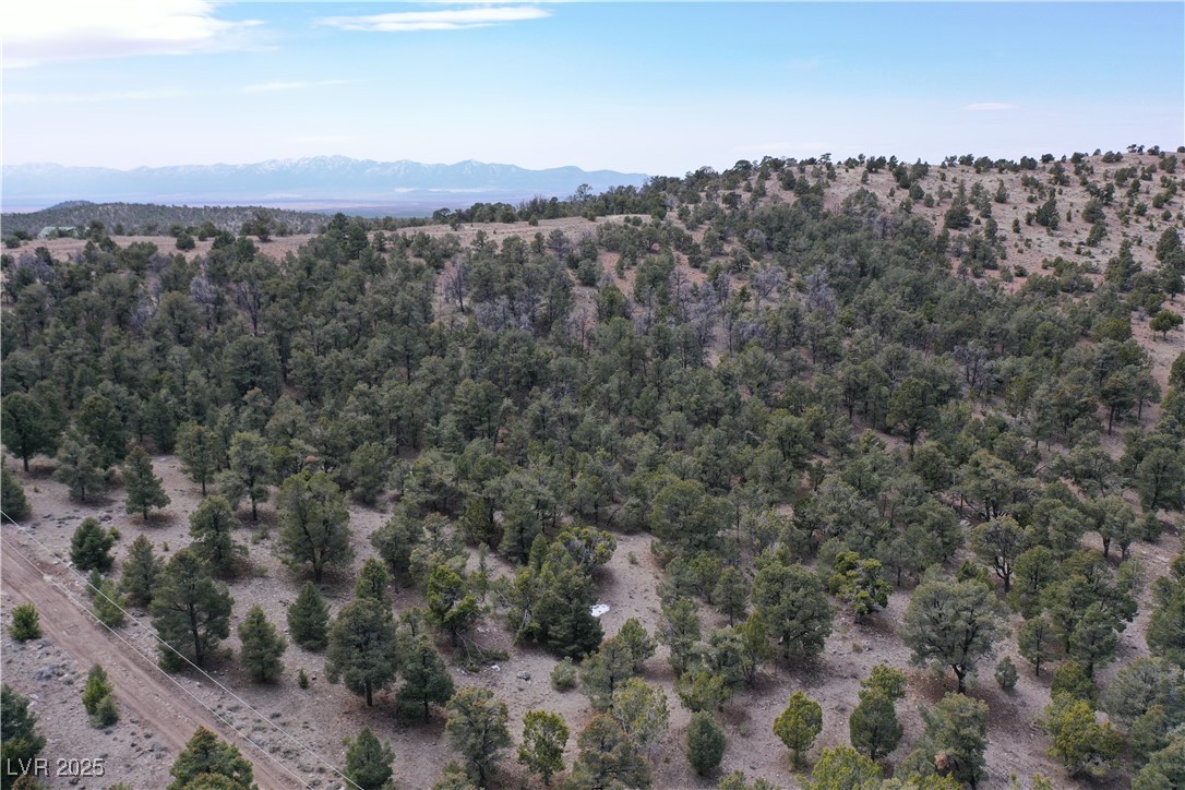 0 Pinion Pine Property Photo 1