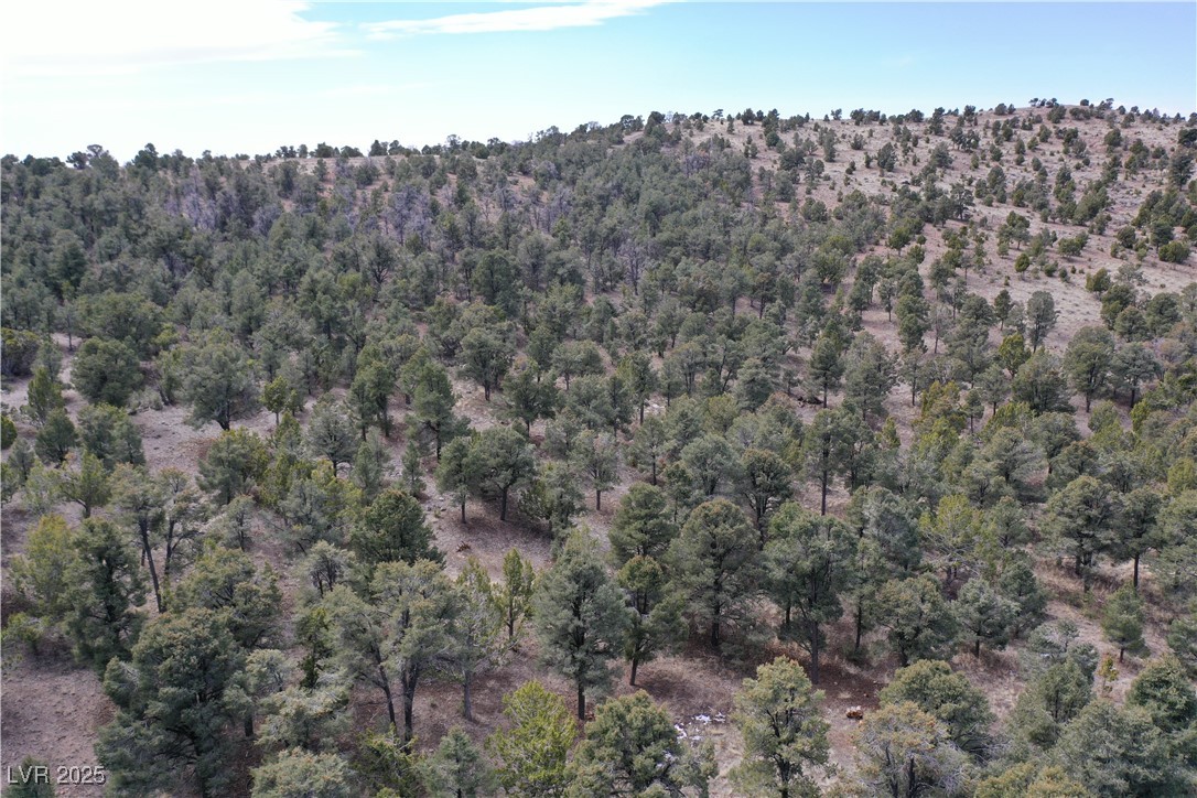 0 Pinion Pine Property Photo 2