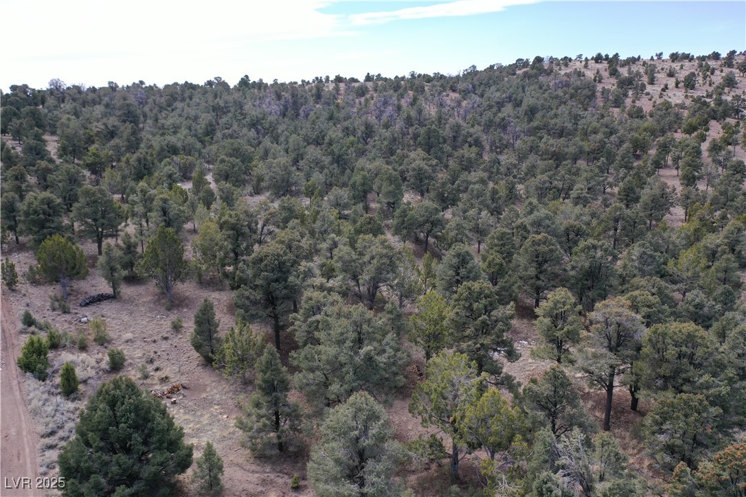 0 Pinion Pine Property Photo 3