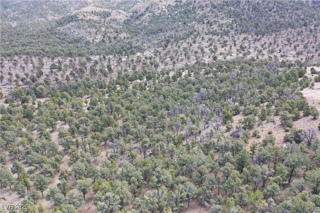0 Pinion Pine Property Photo 4