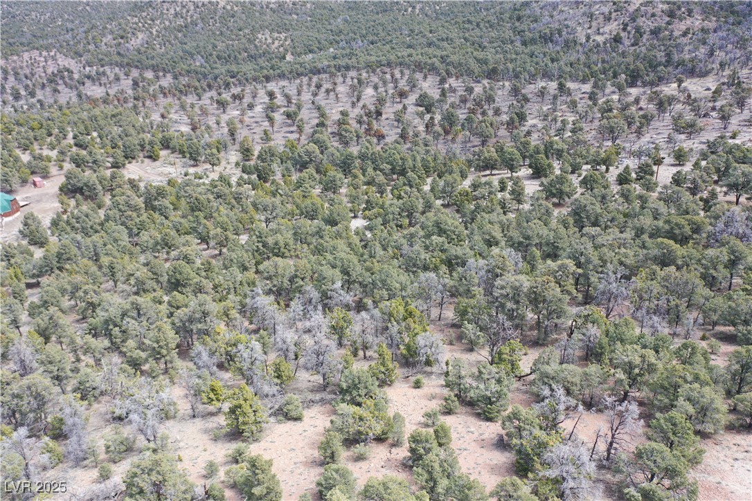 0 Pinion Pine Property Photo 5