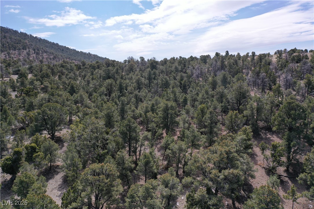 0 Pinion Pine Property Photo 6