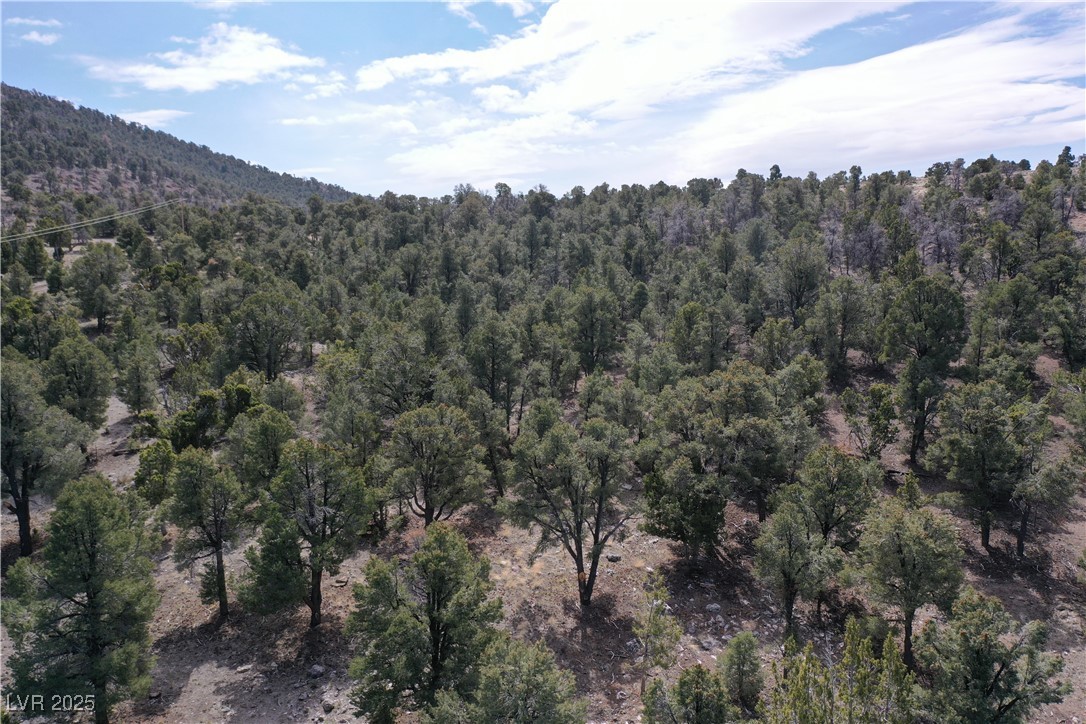 0 Pinion Pine Property Photo 7