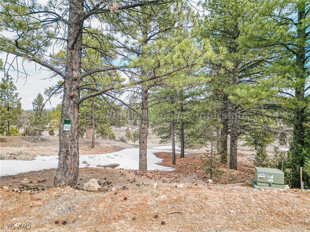 2810 North Dead Loop Property Photo 5