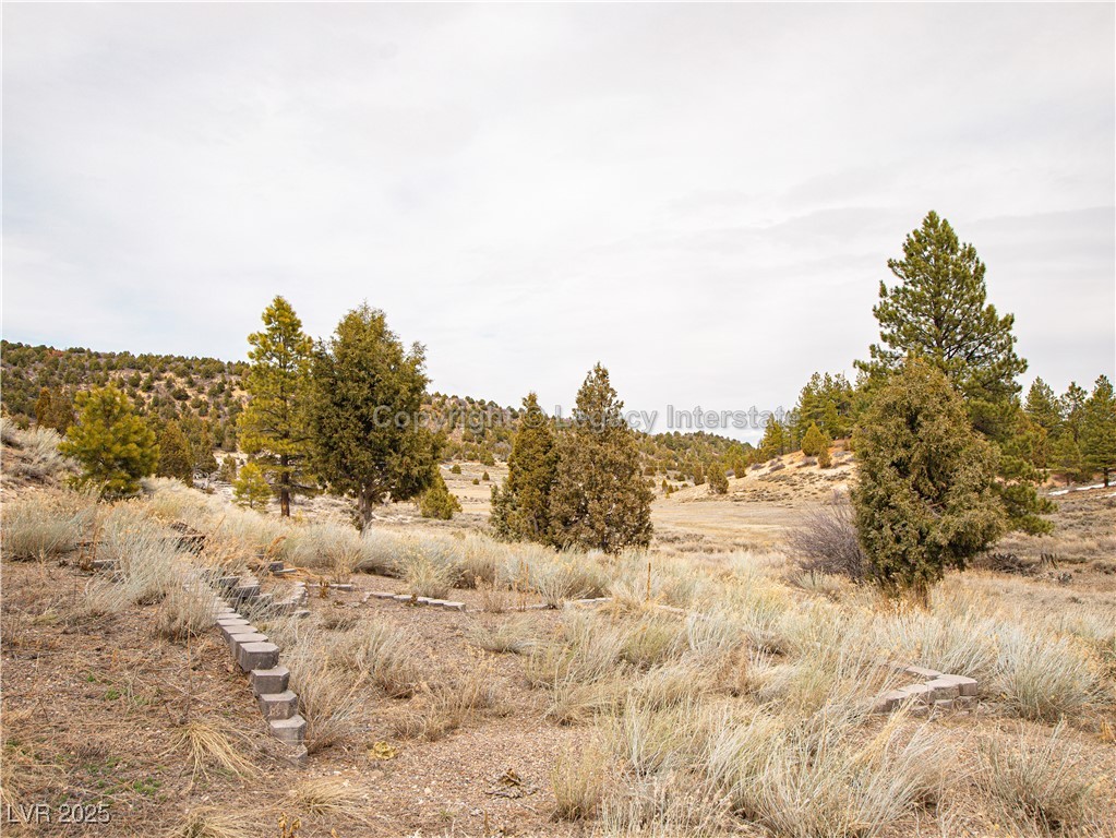 2810 North Dead Loop Property Photo 35