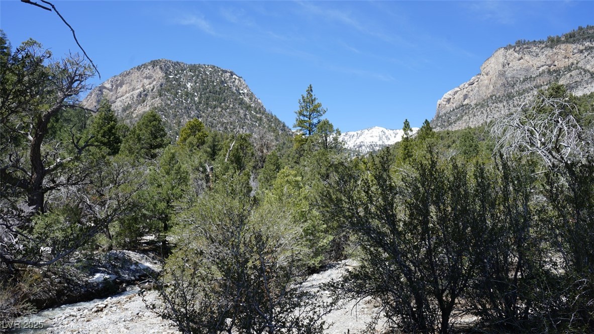 233 Ski Trail Road Property Photo 1