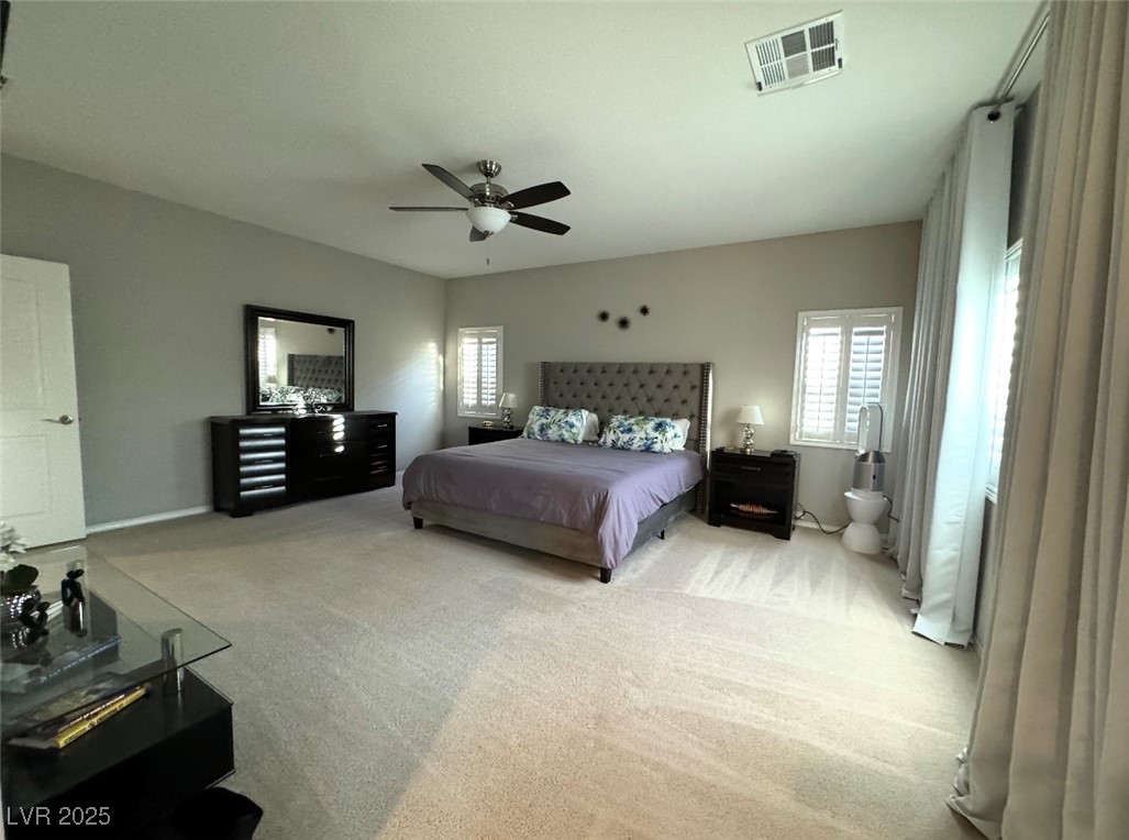 5121 Fiery Sky Ridge Street Property Photo 21