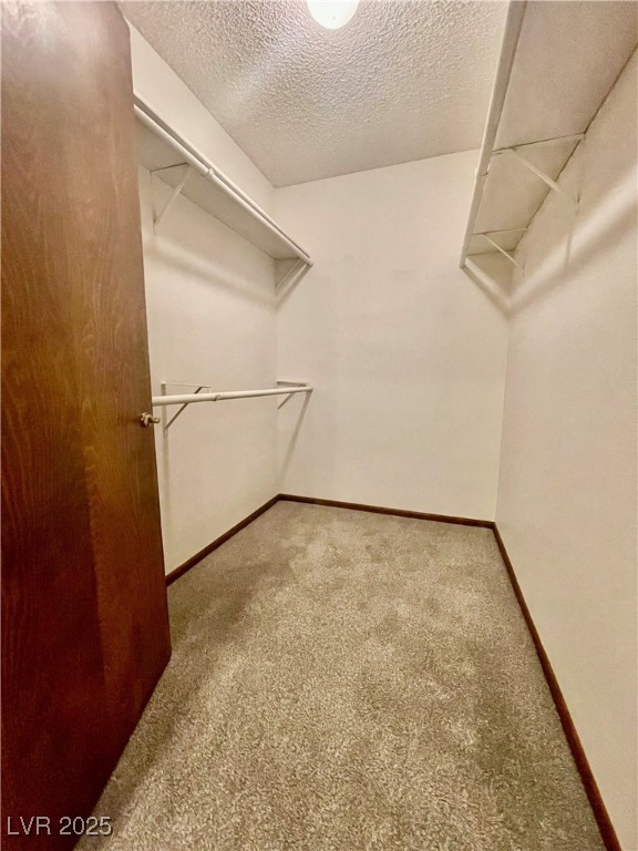 2028 Mohigan Way Property Photo 19
