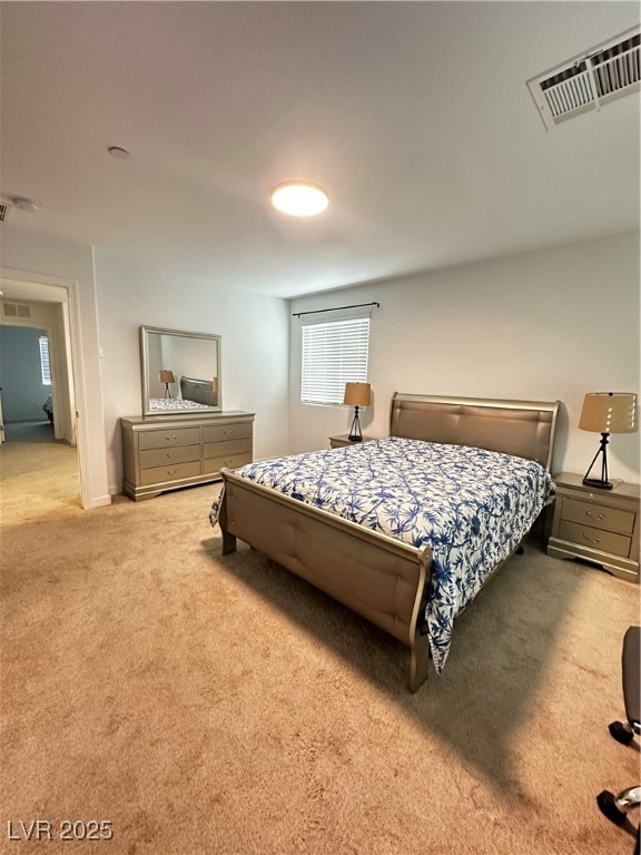 727 Pickled Pepper Place Property Photo 11