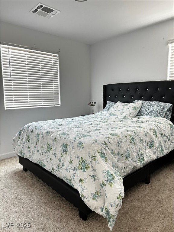 727 Pickled Pepper Place Property Photo 16
