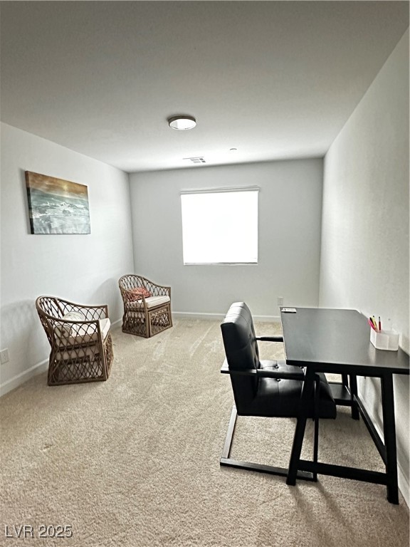 727 Pickled Pepper Place Property Photo 19