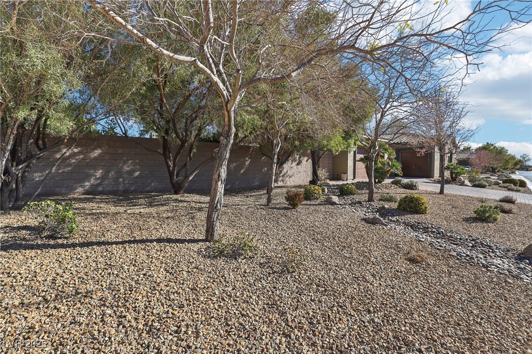 8716 Purple Wisteria Street Property Photo 4