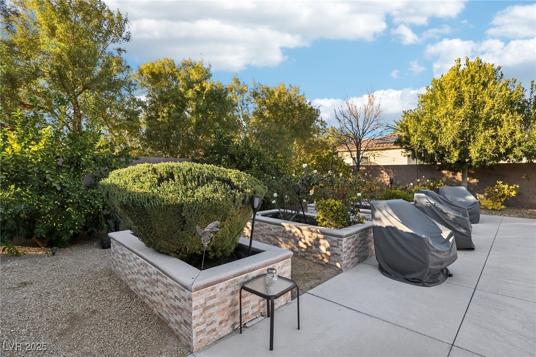 8716 Purple Wisteria Street Property Photo 65