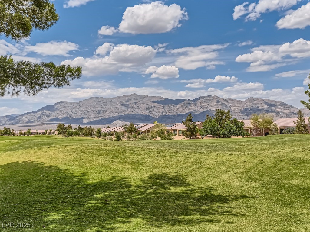 3241 Flyway Court Property Photo 46