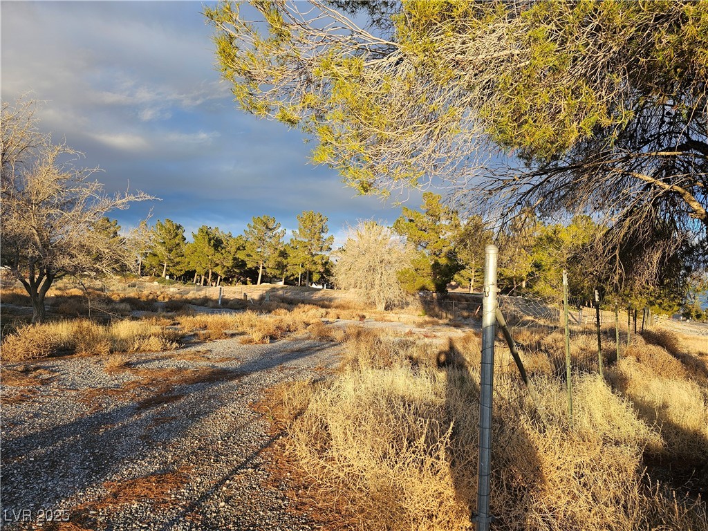 2710 Thousandaire Boulevard Property Photo 4