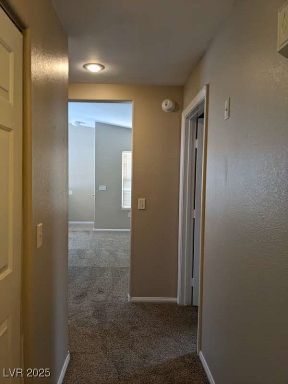 520 Arrowhead Trail 321 Property Photo 19