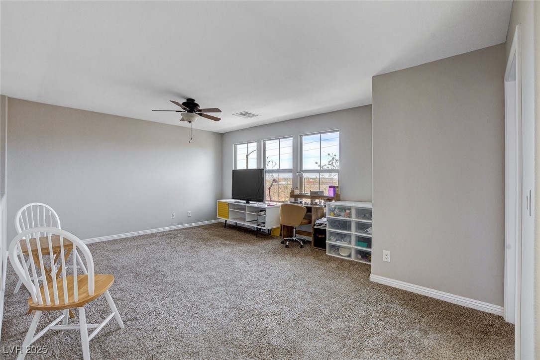 11036 Mount Hunter Street Property Photo 24