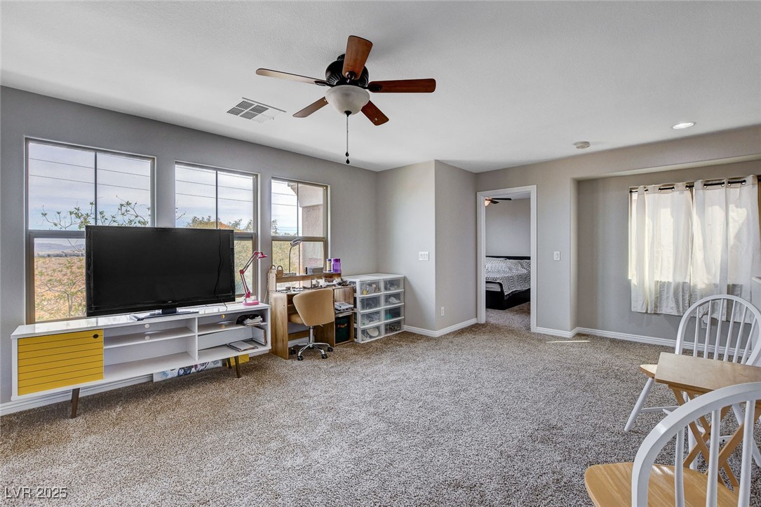 11036 Mount Hunter Street Property Photo 27