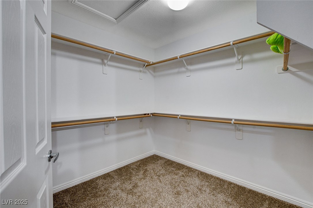 11036 Mount Hunter Street Property Photo 54