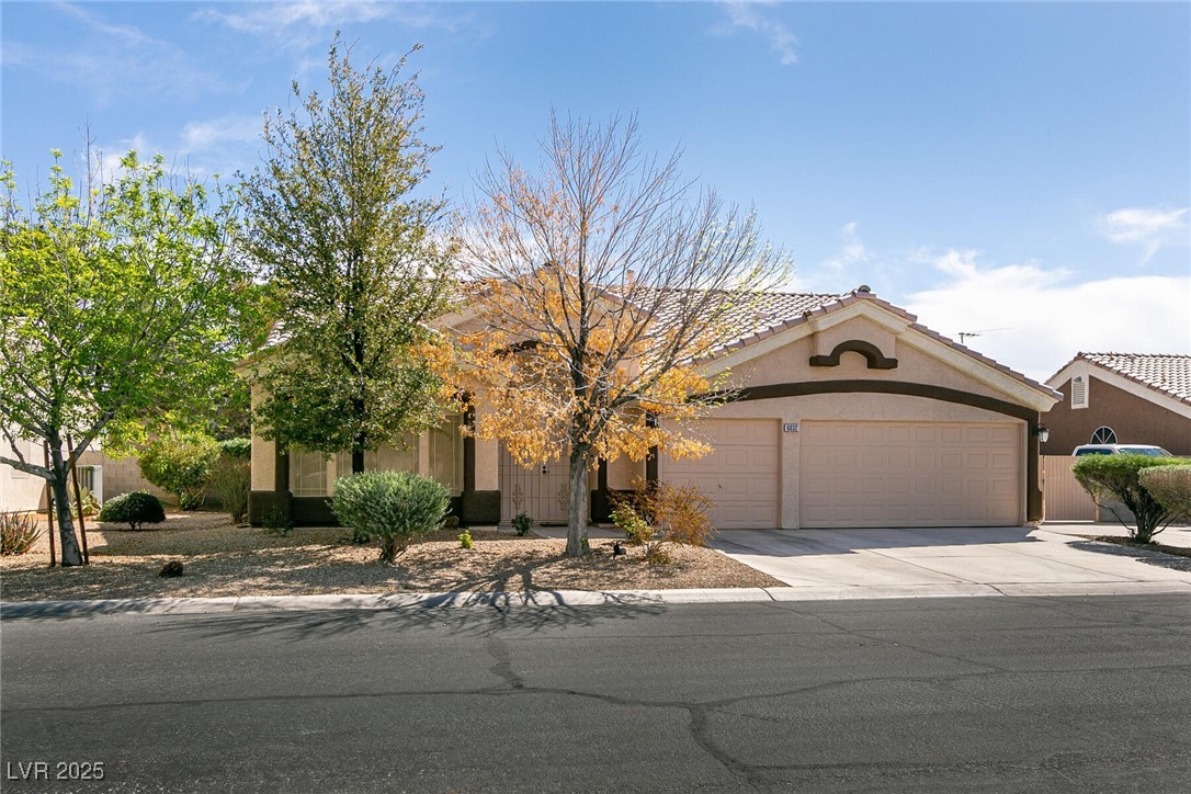 6032 Resort Ridge Street Property Photo