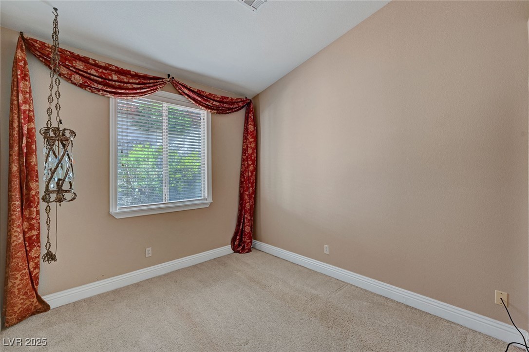 3071 Misty Moon Avenue Property Photo 42