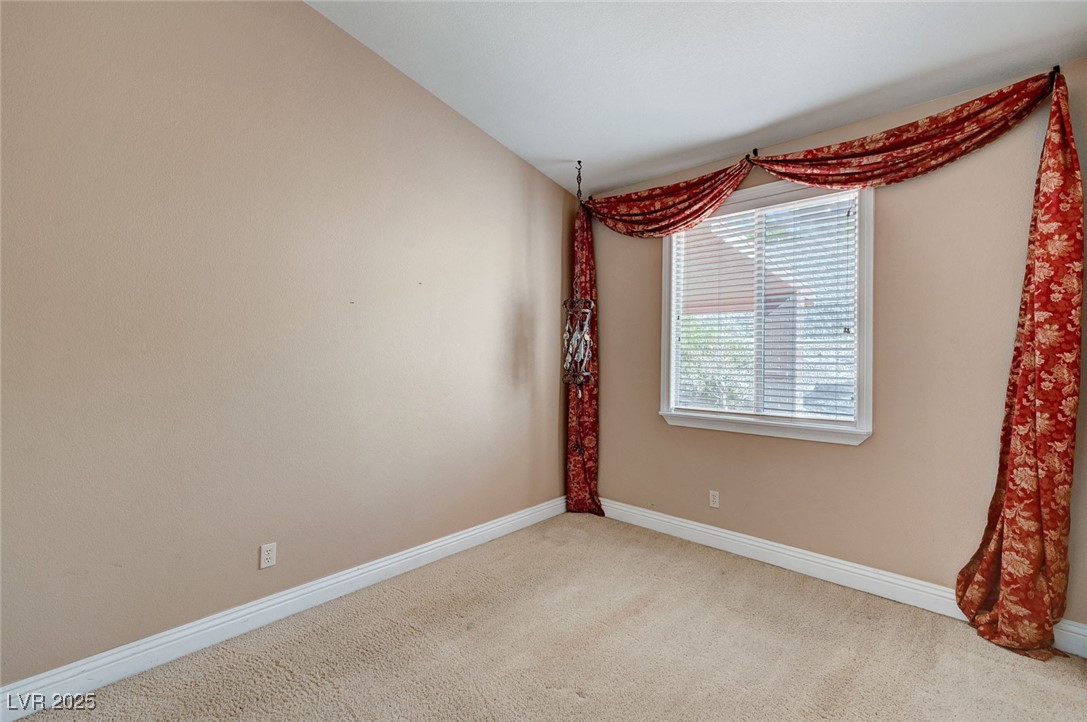 3071 Misty Moon Avenue Property Photo 43
