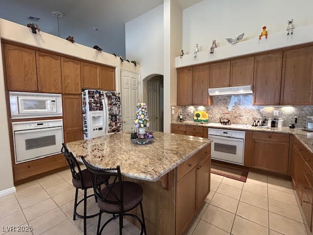 10657 San Vercelli Court Property Photo 16