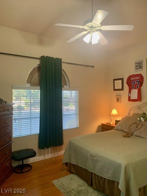 10657 San Vercelli Court Property Photo 28
