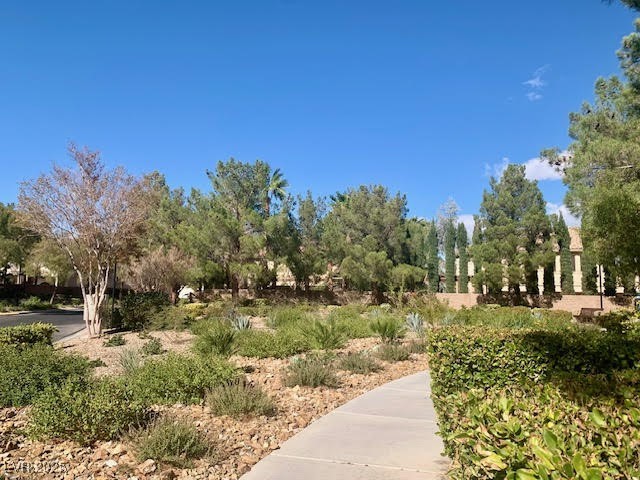 10657 San Vercelli Court Property Photo 39