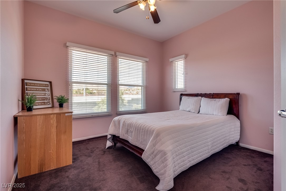 10809 Garden Mist Drive 2050 Property Photo 20