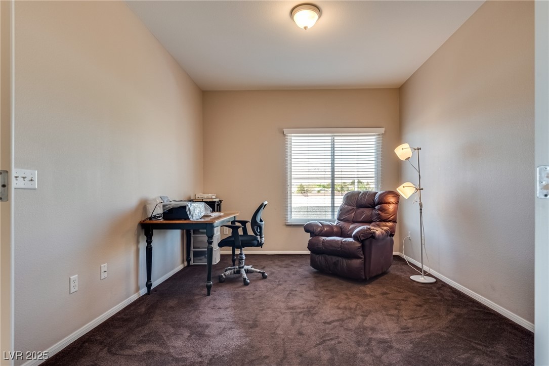 10809 Garden Mist Drive 2050 Property Photo 23