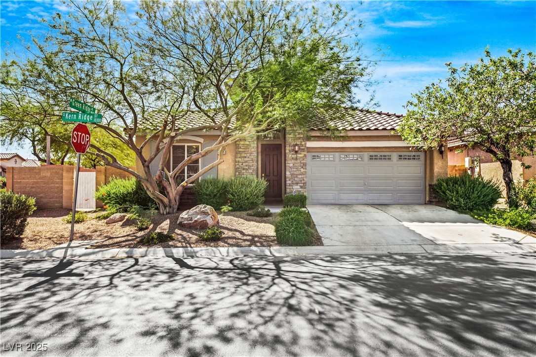 10395 Kern Ridge Street Property Photo 1