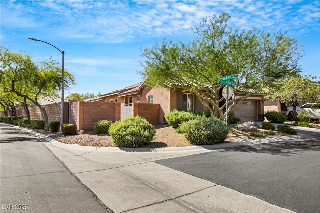 10395 Kern Ridge Street Property Photo 43