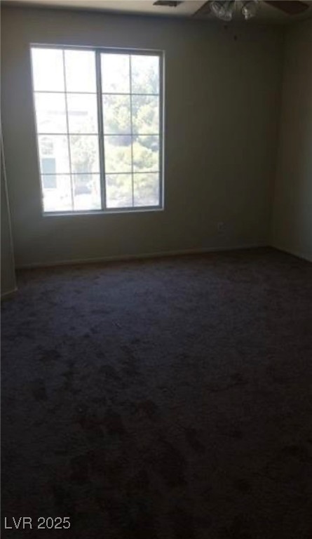 8108 Terracotta Gulf Court Property Photo 28