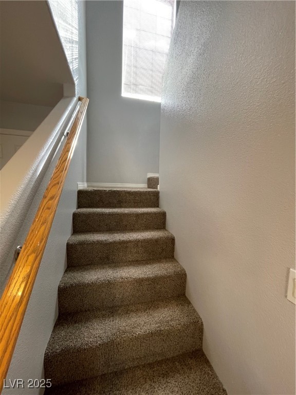 7481 Catmint Street Property Photo 11