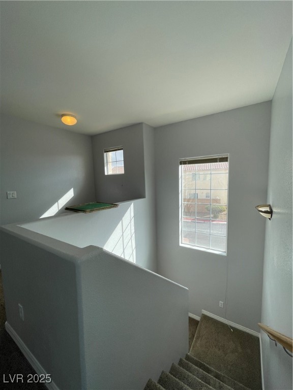 7481 Catmint Street Property Photo 12
