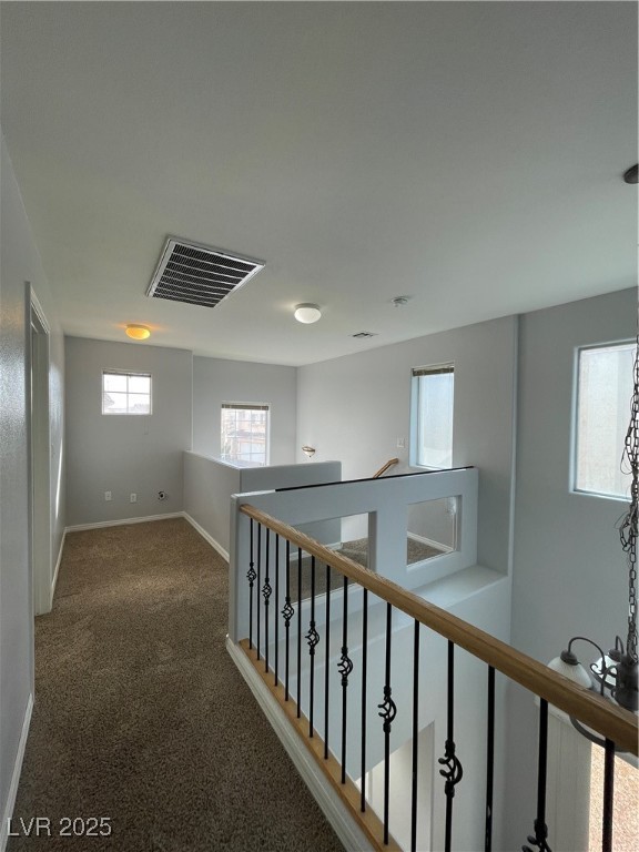7481 Catmint Street Property Photo 13