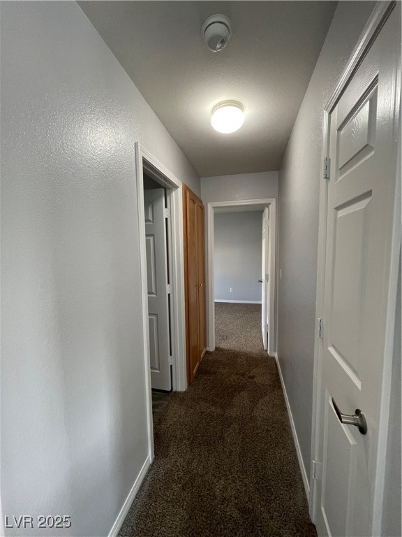 7481 Catmint Street Property Photo 19