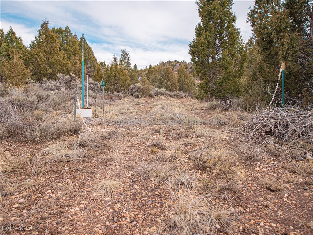Lot 6 Moquie Court Property Photo 3