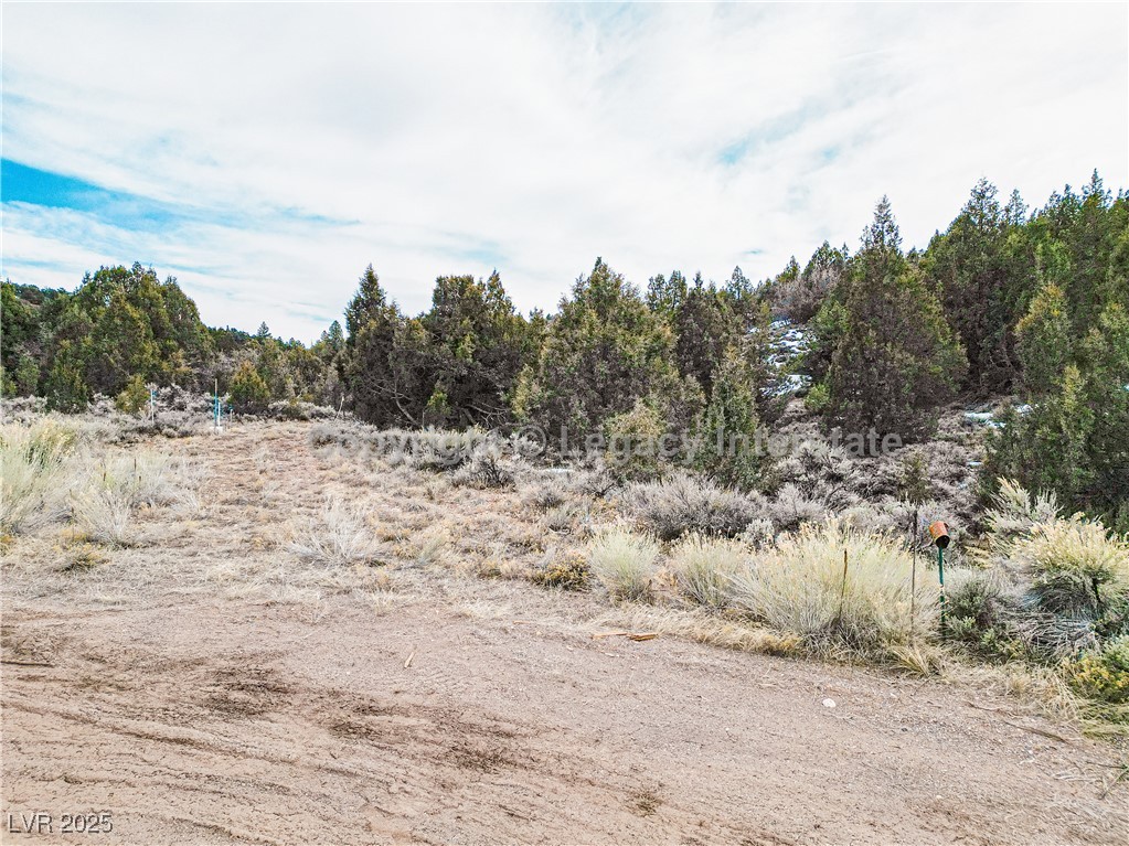 Lot 6 Moquie Court Property Photo 5