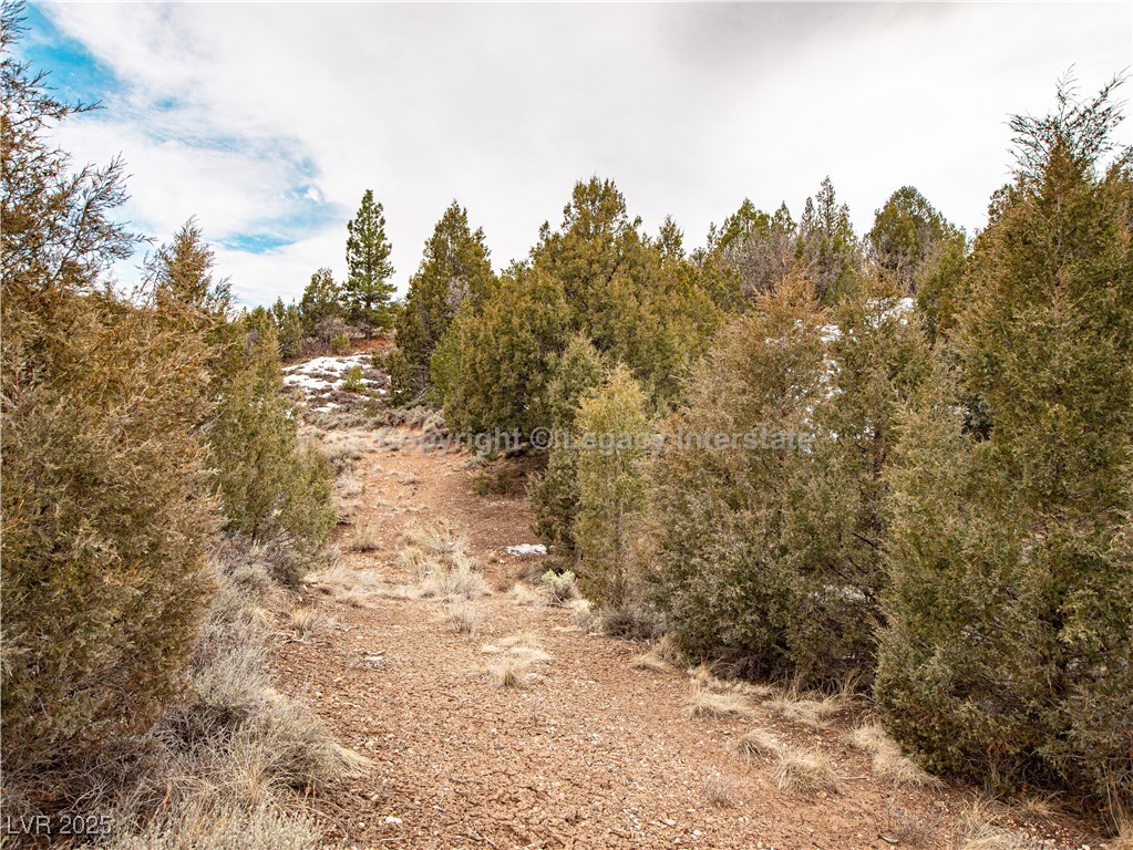 Lot 6 Moquie Court Property Photo 13