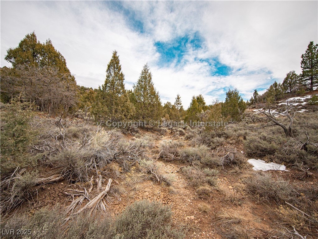 Lot 6 Moquie Court Property Photo 14