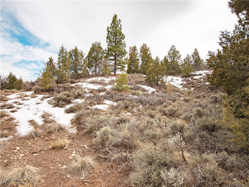 Lot 6 Moquie Court Property Photo 17