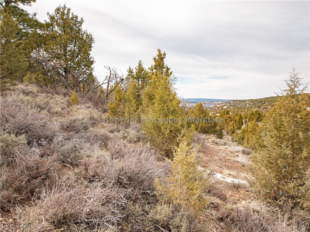Lot 6 Moquie Court Property Photo 18