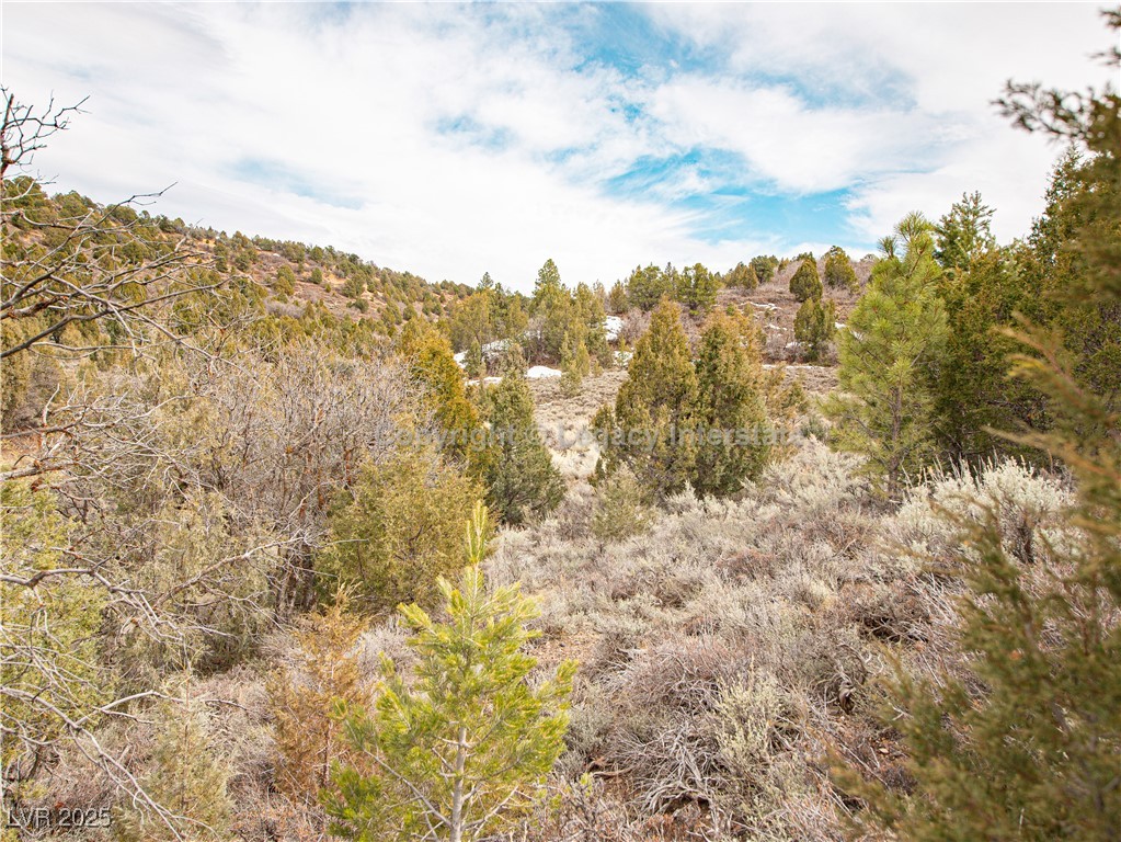 Lot 6 Moquie Court Property Photo 19
