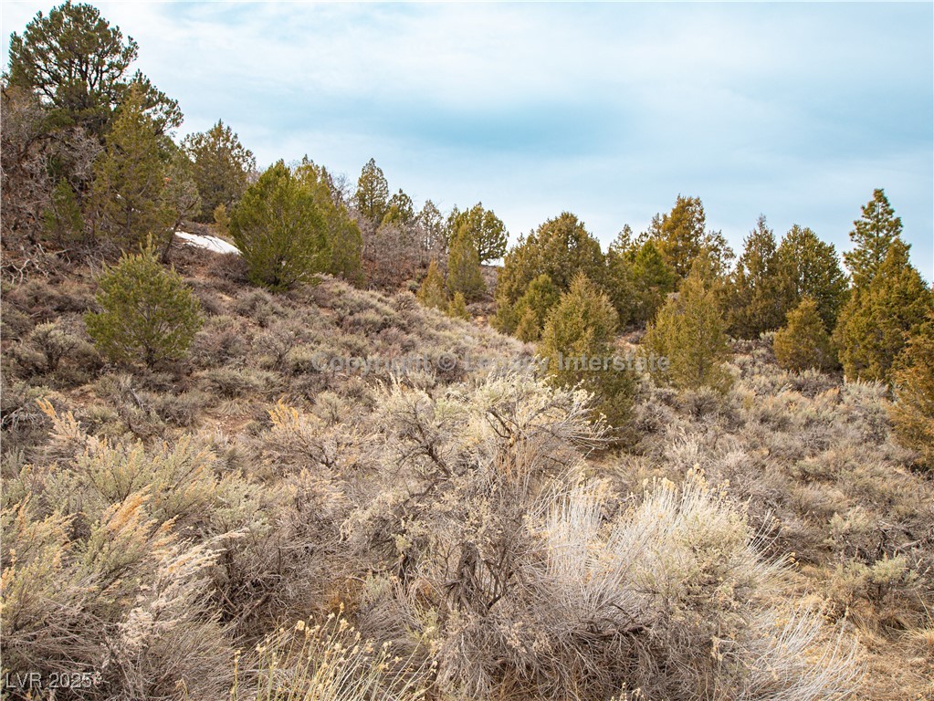 Lot 6 Moquie Court Property Photo 20