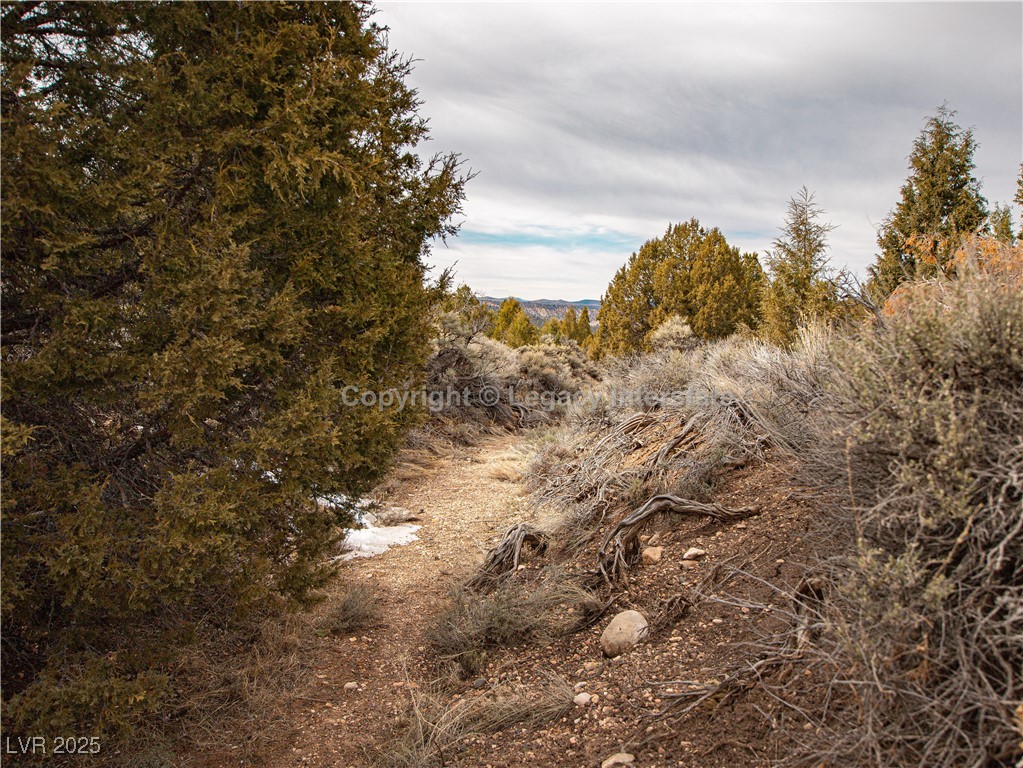 Lot 6 Moquie Court Property Photo 21