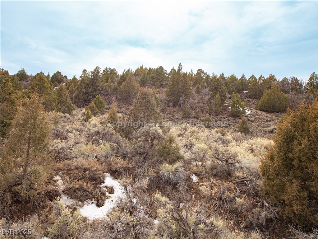 Lot 6 Moquie Court Property Photo 22
